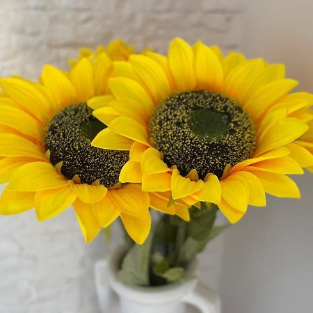 Attico Girasole Διαμέρισμα Λίντο ντι Όστια Εξωτερικό φωτογραφία