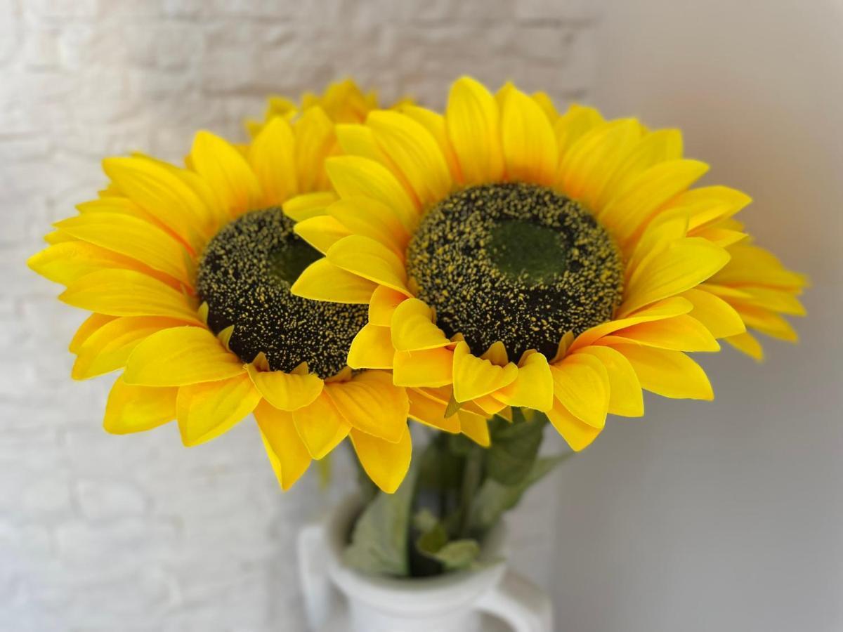Attico Girasole Διαμέρισμα Λίντο ντι Όστια Εξωτερικό φωτογραφία
